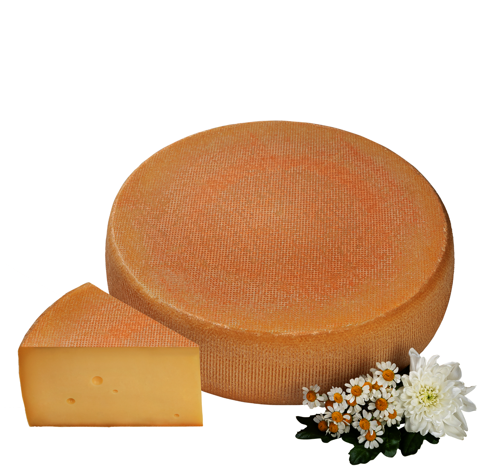 Cremiger Schnittkäse am Laib. Davor ein Stück von dem Käse.
