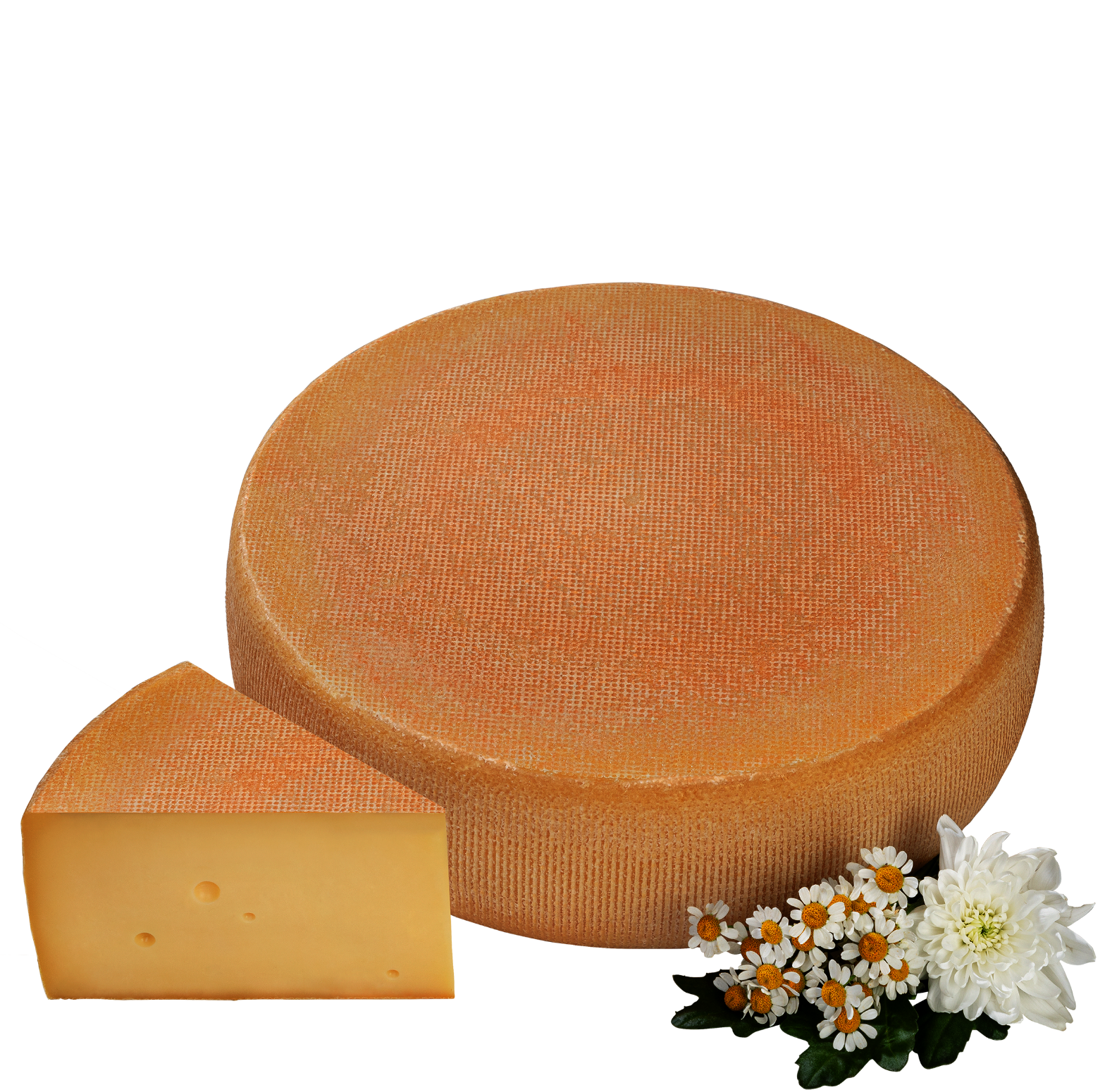 Cremiger Schnittkäse am Laib. Davor ein Stück von dem Käse.