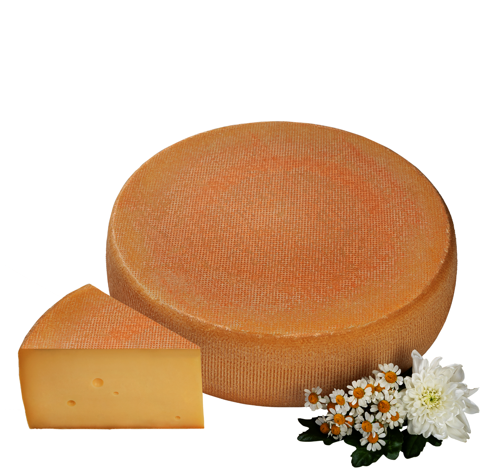 Cremiger Schnittkäse am Laib mit einem Stück davor.