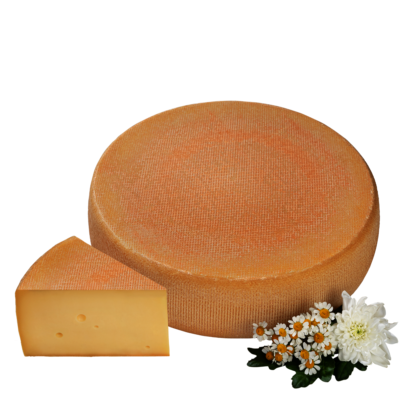 Cremiger Schnittkäse am Laib mit einem Stück davor.