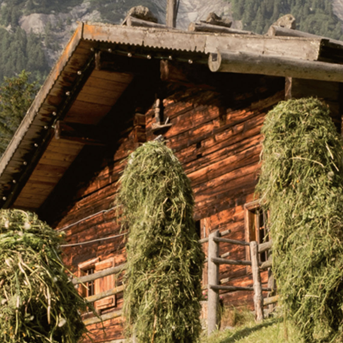 Bergbauern Almhütte mit Heu im Vordergrund