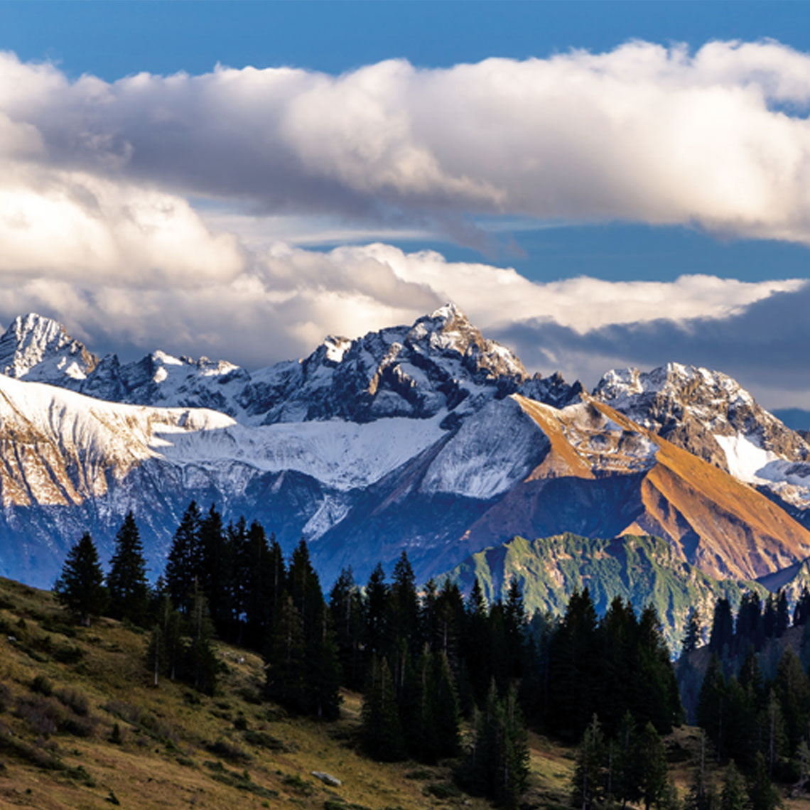 schöne Berglandschaft mit einer Almlandschaft unserer Heumilchbauern