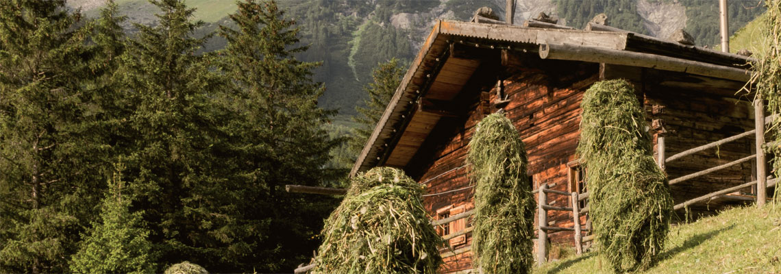 Almhütte mit gestapeltem Heu der Bergbauern Heumilchlieferanten