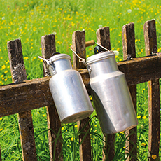 Milchkannen an einem Gartenzaun hängend