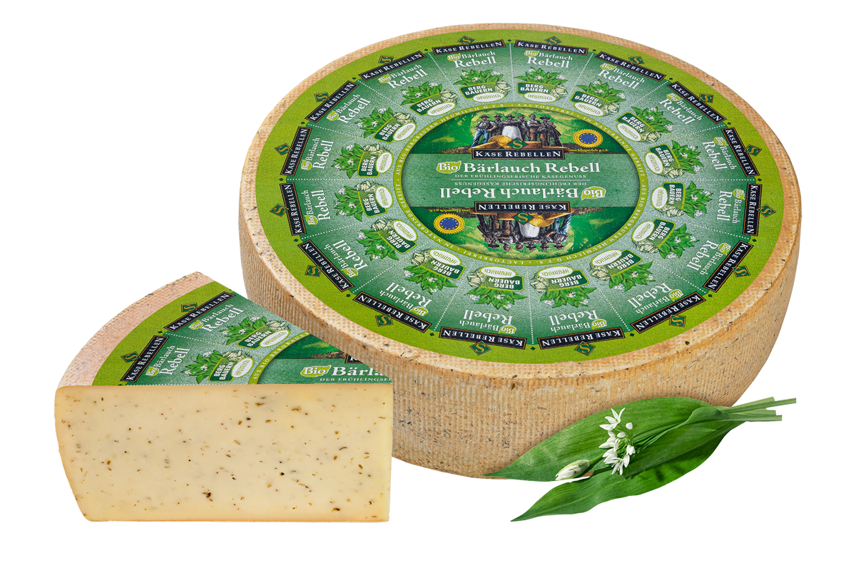 Ganzer Laib Bio Bärlauch Schnittkäse mit Bärlauchblättern im Käseteig