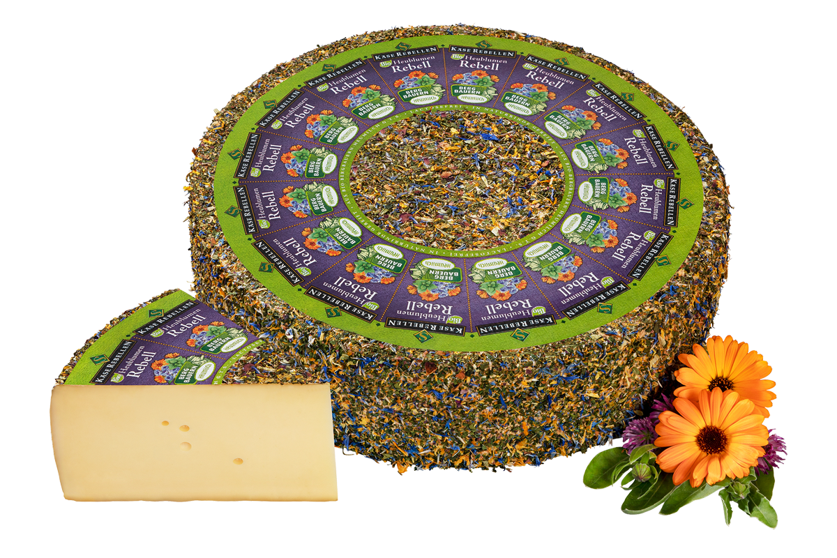 Bio Schnittkäse mit Heublumen affiniert