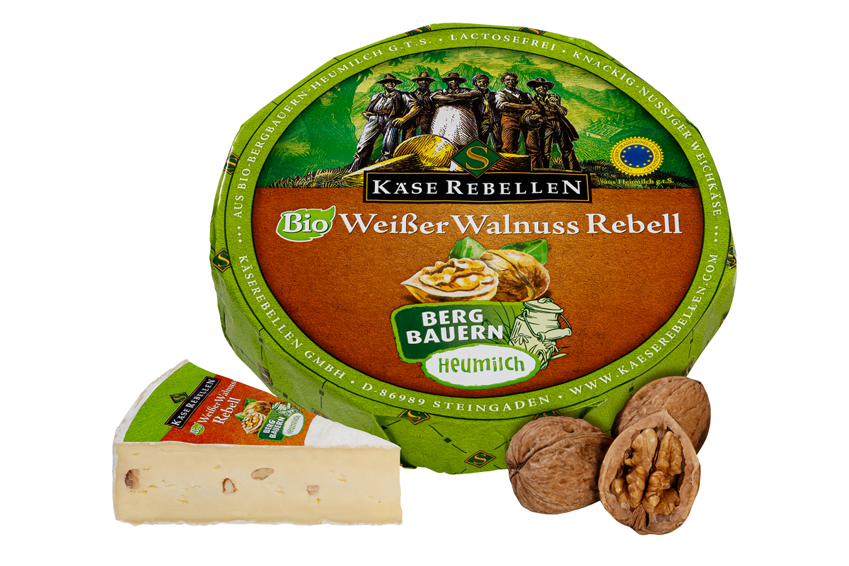 Bio Weichkäse mit Walnüssen verfeinert und Walnuss verziert