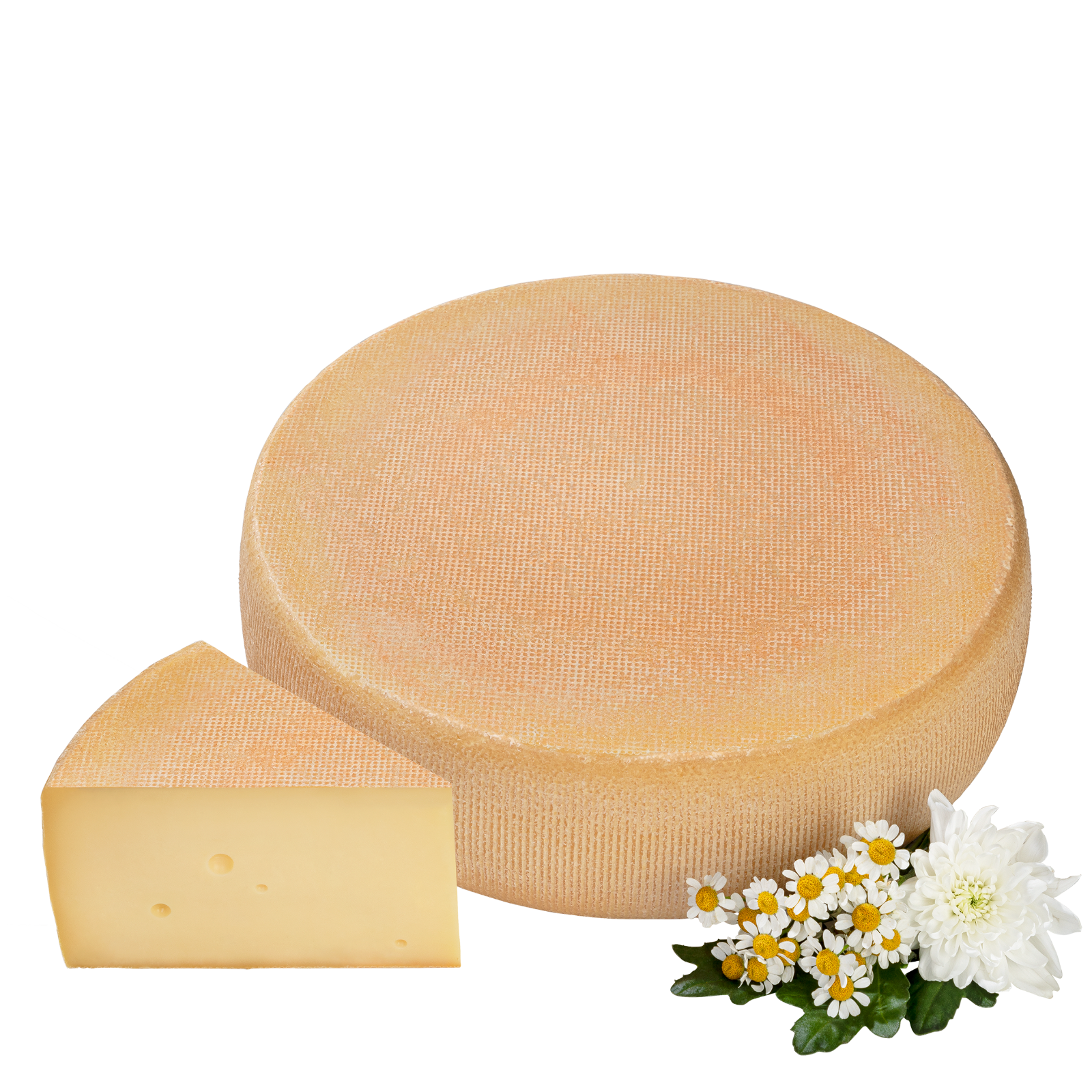 Cremiger Schnittkäse am Laib. Davor ein Stück von dem Käse.